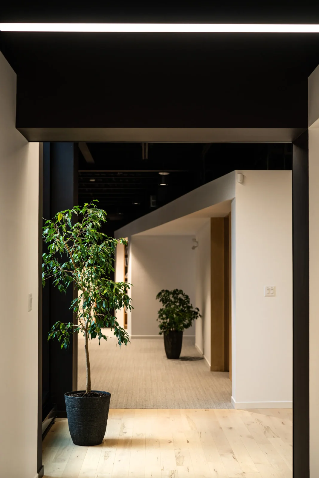 Vue dans un couloir avec des plantes en pot